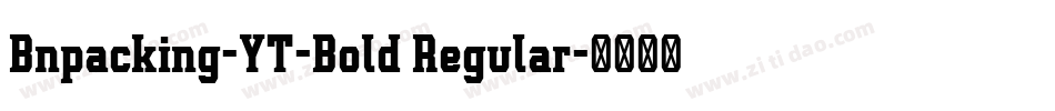 Bnpacking-YT-Bold Regular字体转换